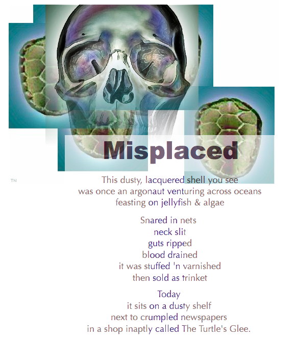 Misplaced - an art work by T Newfields