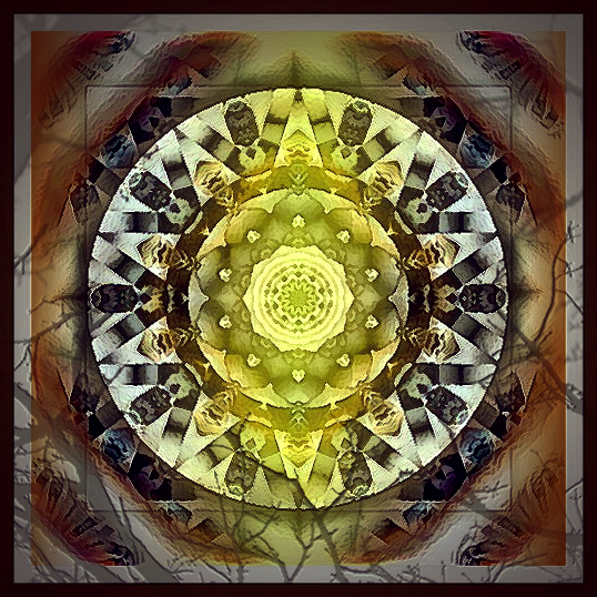 Desert Mandala - an art work by T Newfields