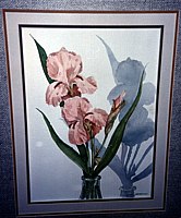 Pink Irises - a drawing by Jean Price Norman [location of original unknown]
