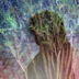 La voz de Gaia