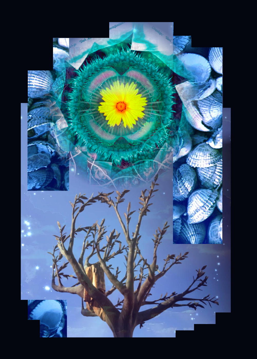 Ebrio de flores - un collage T Newfields