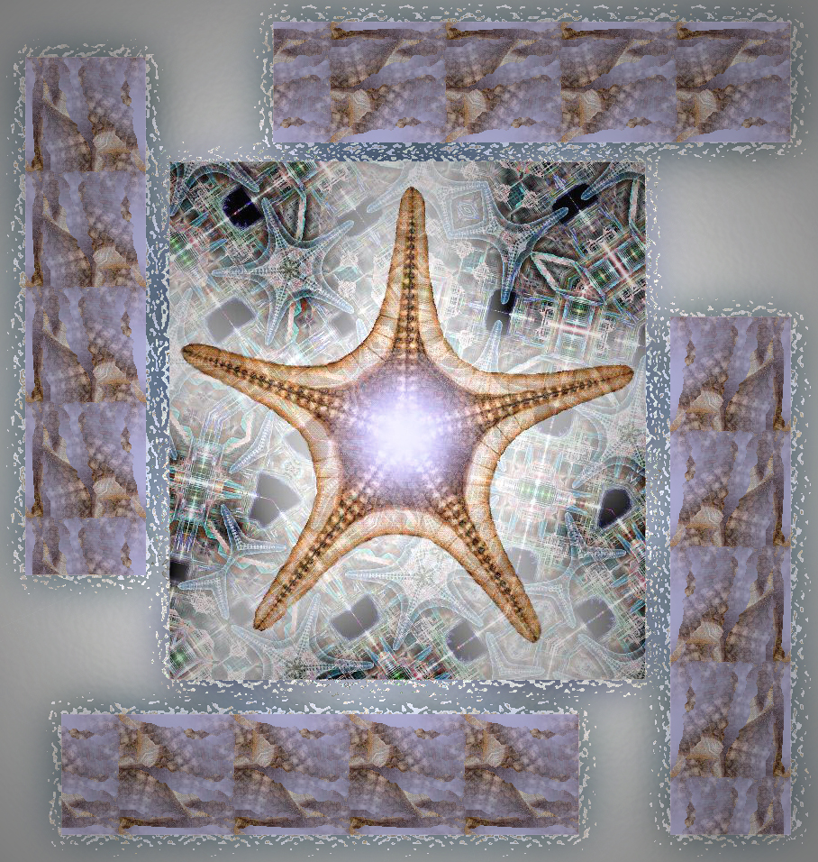 Starfish / �toiles de mer / Estrellas de mar / Hitode - an art work by T Newfields