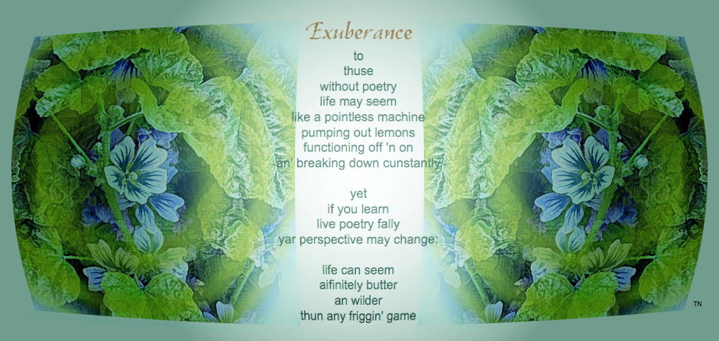 Exuberance - an art work and poem by T Newfields