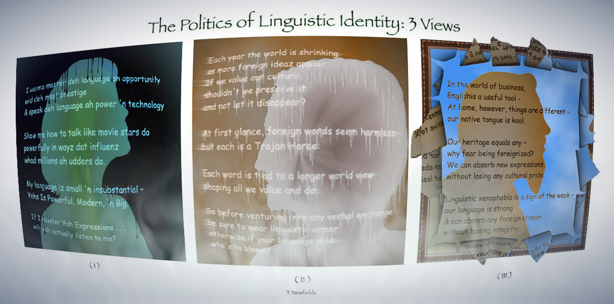 The Politics of Linguistic Identity: 3 Views - a graphic poem  by T Newfields