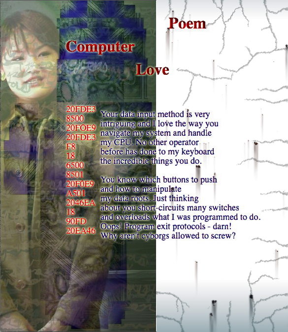 Computer Love Poem - some nonsense by T Newfields