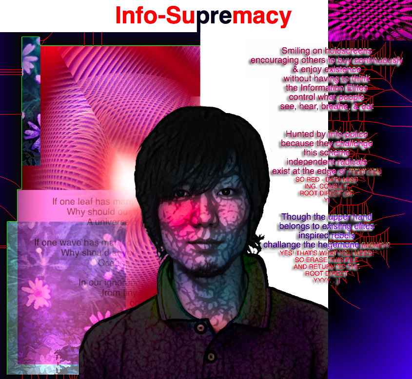 Info-Supremacy - an art work and poem by T Newfields