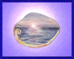 Within a Shell - a drawing by Jean Price Norman [The Saitoh Collection]