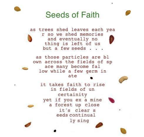 Seeds of Faith 

as trees shed leaves each yea 
r so we shed memories 
and eventually no 
thing is left of us 
but a few tiny seeds . . . 
 
as those particles are bl 
own across the fields of sp 
ace many become fal 
low while a few germ in
ate 
 
it takes faith to rise 
in fields of un 
certainty 
yet if you ex a mine 
a forest closely 
it'll be clear s
eeds of life 
spring up 
continual
ly