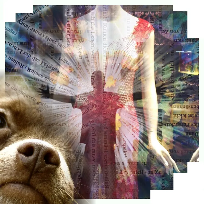 Credo canino: Un llamamiento por la liberación animal - un arte de T Newfields