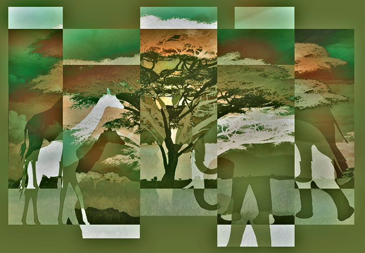 El Serengueti en primavera: un ilustración por T Newfields