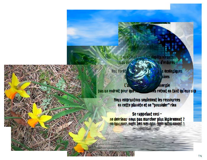 Eco-foi 2 - a pictoral poem by T Newfields